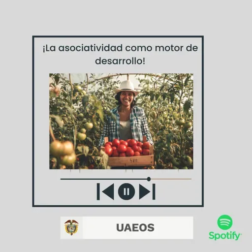 La asociatividad como motor de desarrollo