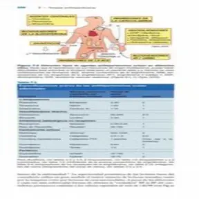 Farmacos Para El Corazon Opie