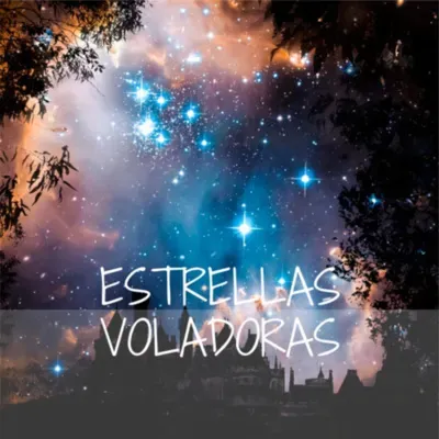 Descubre aquí las estrellas voladoras del Feng Shui 2022: curas A2110 5-2-1 curas FS LA MAGIA DEL ORDEN