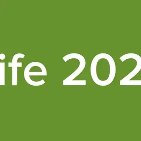 Rife 2022