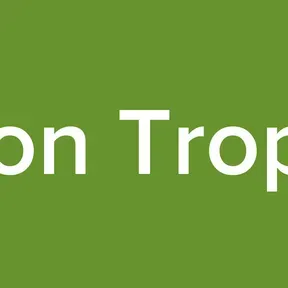 Vision Tropical