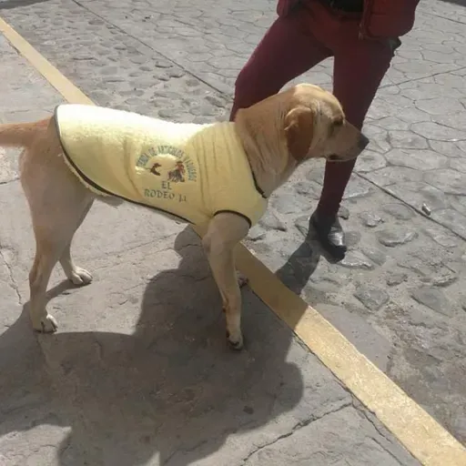 Más de uno Ceuta 20/10/25
