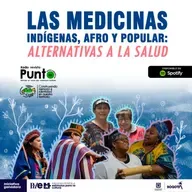 T2P4 - Medicinas Indígenas, Afro y Popular: Alternativas a la salud