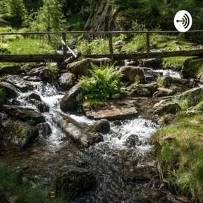 WEB RADIO QUERITE