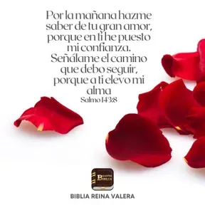 REFLEXION DE LA PALABRA DE CRISTO