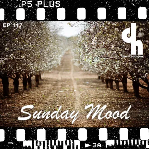 Sunday Mood 117