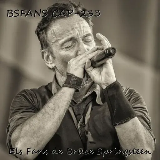 BSFANS CAP-233 En blanco y negro