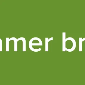 Gamer bros