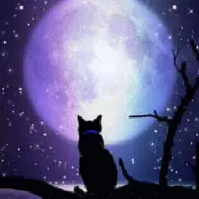 Dangling  over the moon