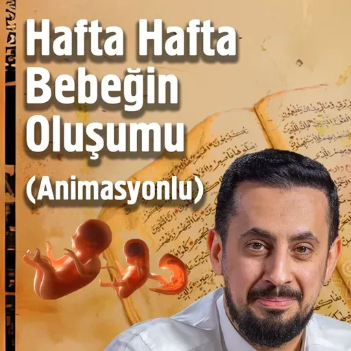 Hafta Hafta Bebeğin Oluşumu (Animasyonlu) | Mehmet Yıldız