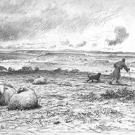 Domingo 24º del Tiempo Ordinario (C)