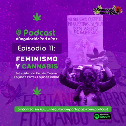 Mujeres Forjando Porros Forjando Luchas