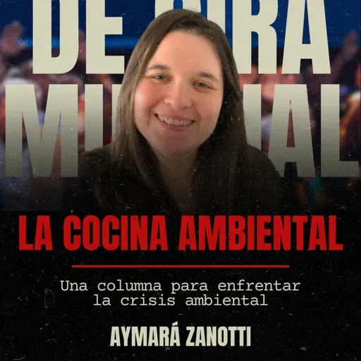 "COCINA AMBIENTAL" por Aymi Zanotti