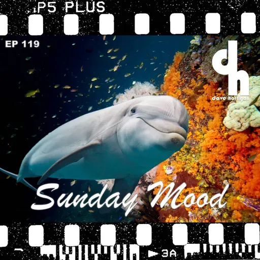 Dave Harrigan - Sunday Mood 119