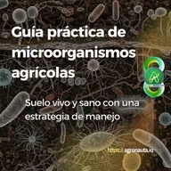 Guía práctica de microorganismos agrícolas: suelo vivo y sano con una estrategia de manejo