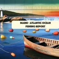 Excellent Late Summer Fishing on the Maine Coast