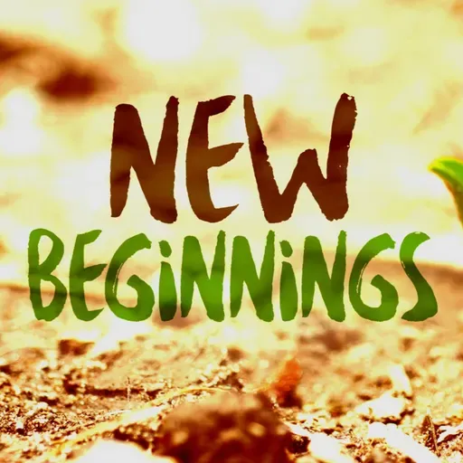 New Beginnings 2026