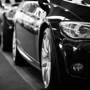 Stampede Auto Used Cars Dealers Scholarship for students.