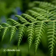 Biomimicry & Green Burial: Living and Dying with Nature in Mind