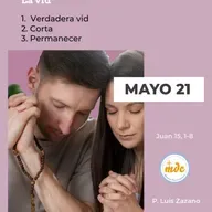 Juan 15, 1-8: La vid