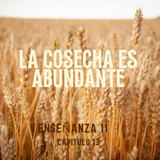 Enseñanza 11.La cosecha abundante.