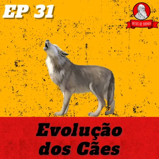 Evolução dos Cães | Netos de Darwin - EP 31