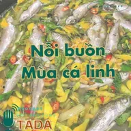 Nỗi buồn mùa cá linh