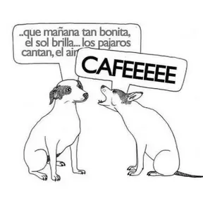 Business Coaching School