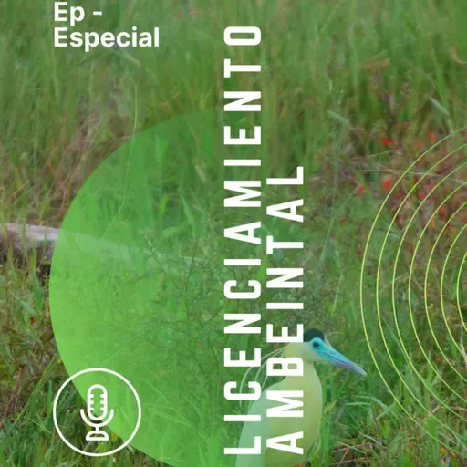 Lo que debes saber sobre Licenciamiento ambiental EP- Especial en conjunto con EIA S.A.S