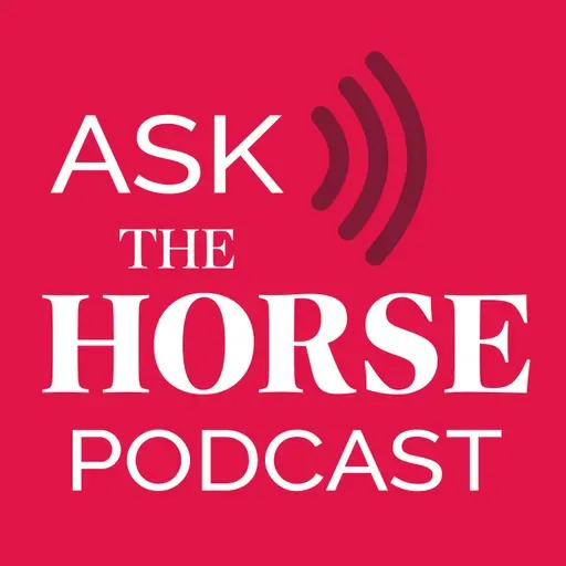 What You Need to Know About Gastric Ulcers in Horses