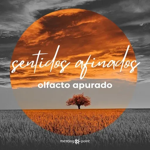 olfacto apurado