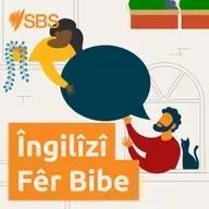 #102 Getting organised (Med) - #102 Rêkxistina tiştan