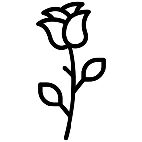 Radio rosa