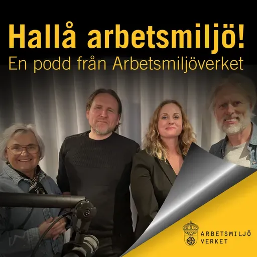 Hallå arbetsmiljö! #27 Rasism i arbetslivet