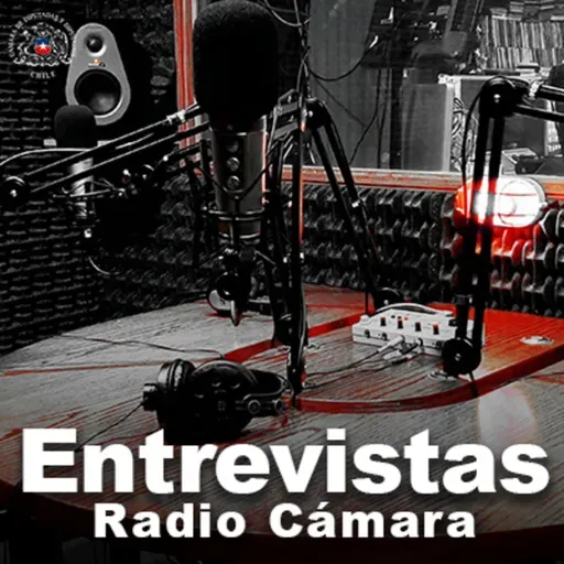 Entrevista: Diputada Marta Bravo