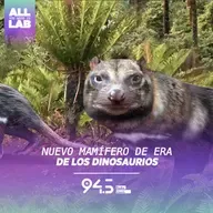 Nuevo mamífero de era de los dinosaurios