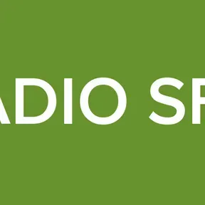 RADIO SFM