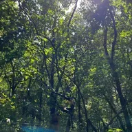 Dompel je onder in de geluiden van de natuur