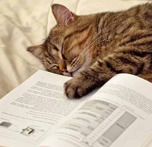 [4 dicas] Como ter motivação para estudar psicologia sozinho