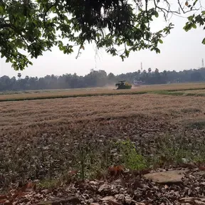 ULNADAN RADIO