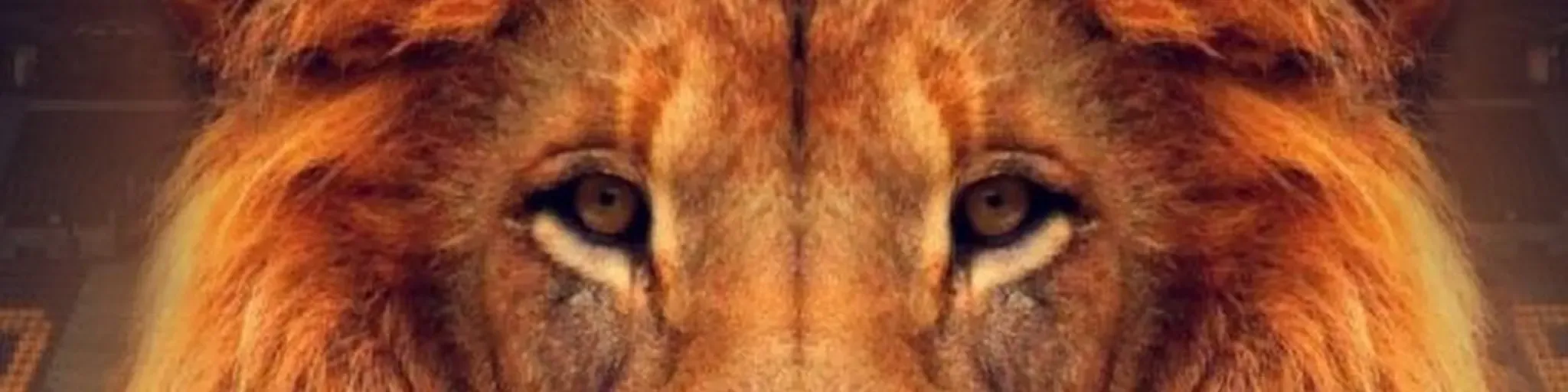 Rádio Cidade - Transmitindo Vida