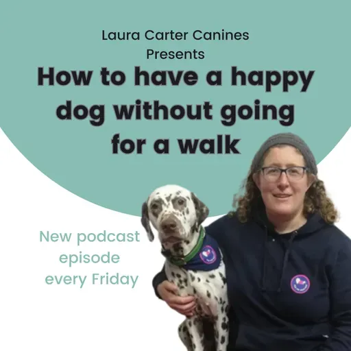 Games That Strengthen Your Bond Without the Lead