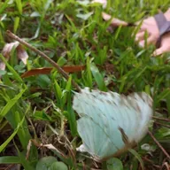 Cap21.2 A responsabilidade pelo que se vê