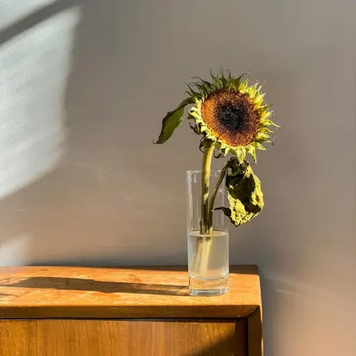 Viviendo entre la miseria espiritual