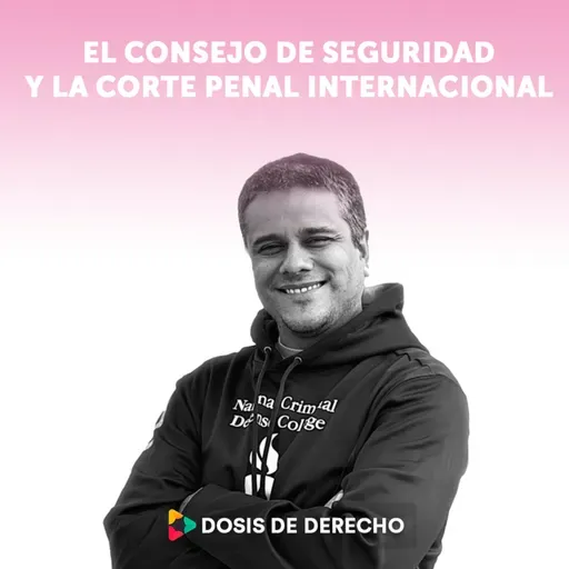 #7 - Dosis de DD HH y Derecho Internacional Penal: El Consejo de Seguridad y la Corte Penal Internacional