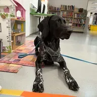 💫 ☀️ ... omejujoča prepričanja 🤯