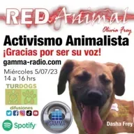RED ANIMAL CON OLIVIA FREY/ACTIVISMO ANIMALISTA