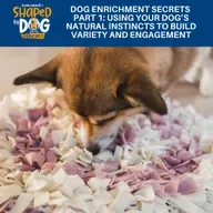 Dog Enrichment Secrets Part 1: Using Your Dog's Natural Instincts To Build Variety And Engagement #314