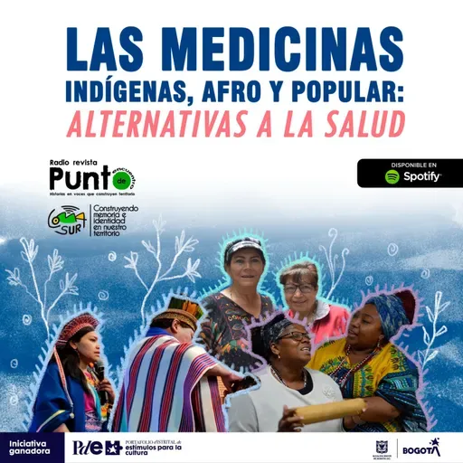 T2P4 - Medicinas Indígenas, Afro y Popular: Alternativas a la salud