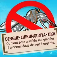 Número de focos do mosquito Aedes aegypti aumenta em São Chico